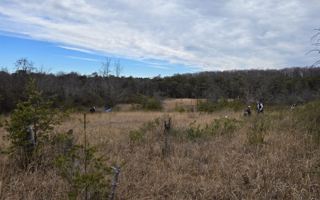 Improving the Environment